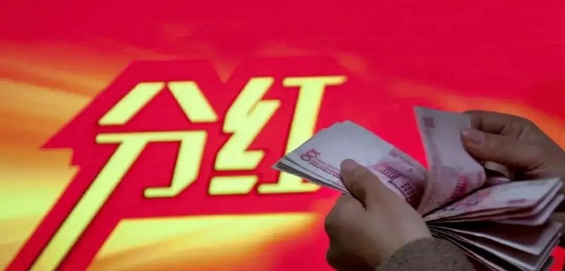 保险的明智选择：青岛保险咨询服务案例